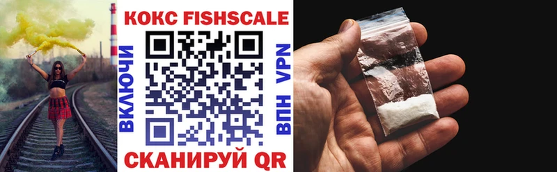 как найти закладки Кировск Кокаин Fish Scale