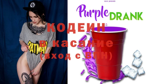 амф Каменка
