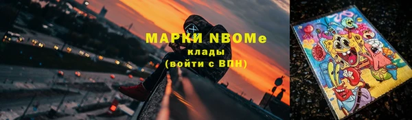 амф Каменка