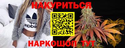 амф Донской