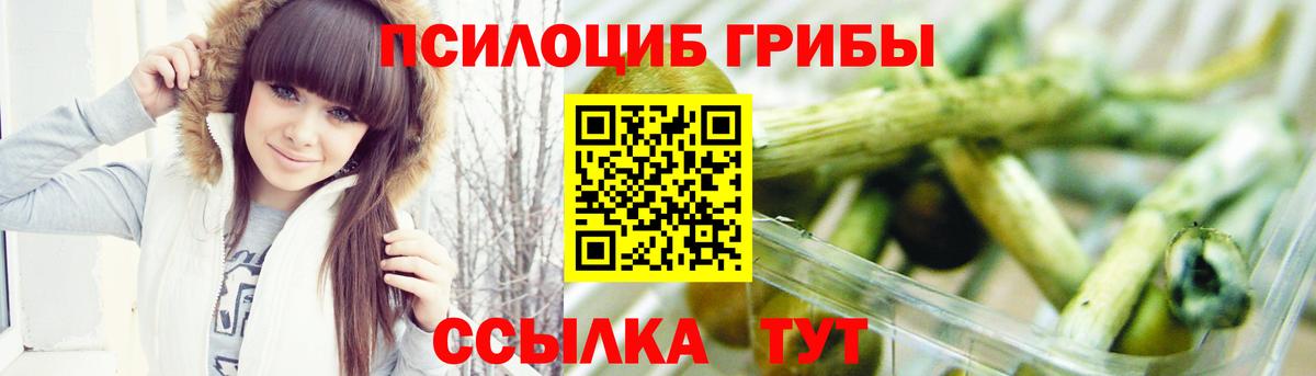 Псилоцибиновые грибы Psilocybine cubensis Кировск