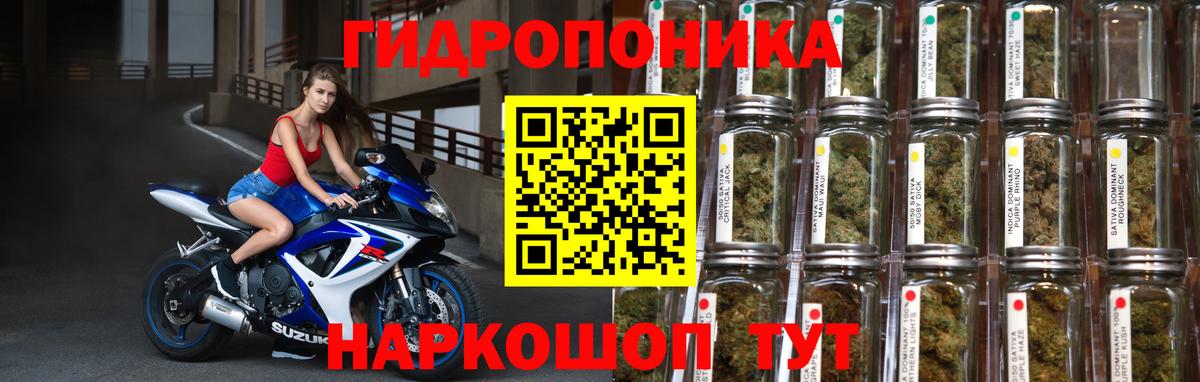 Бошки марихуана планчик  Вход с VPN  Каннабис MAZAR  Кировск  МАРИХУАНА Ganja  МАРИХУАНА Bruce Banner 
